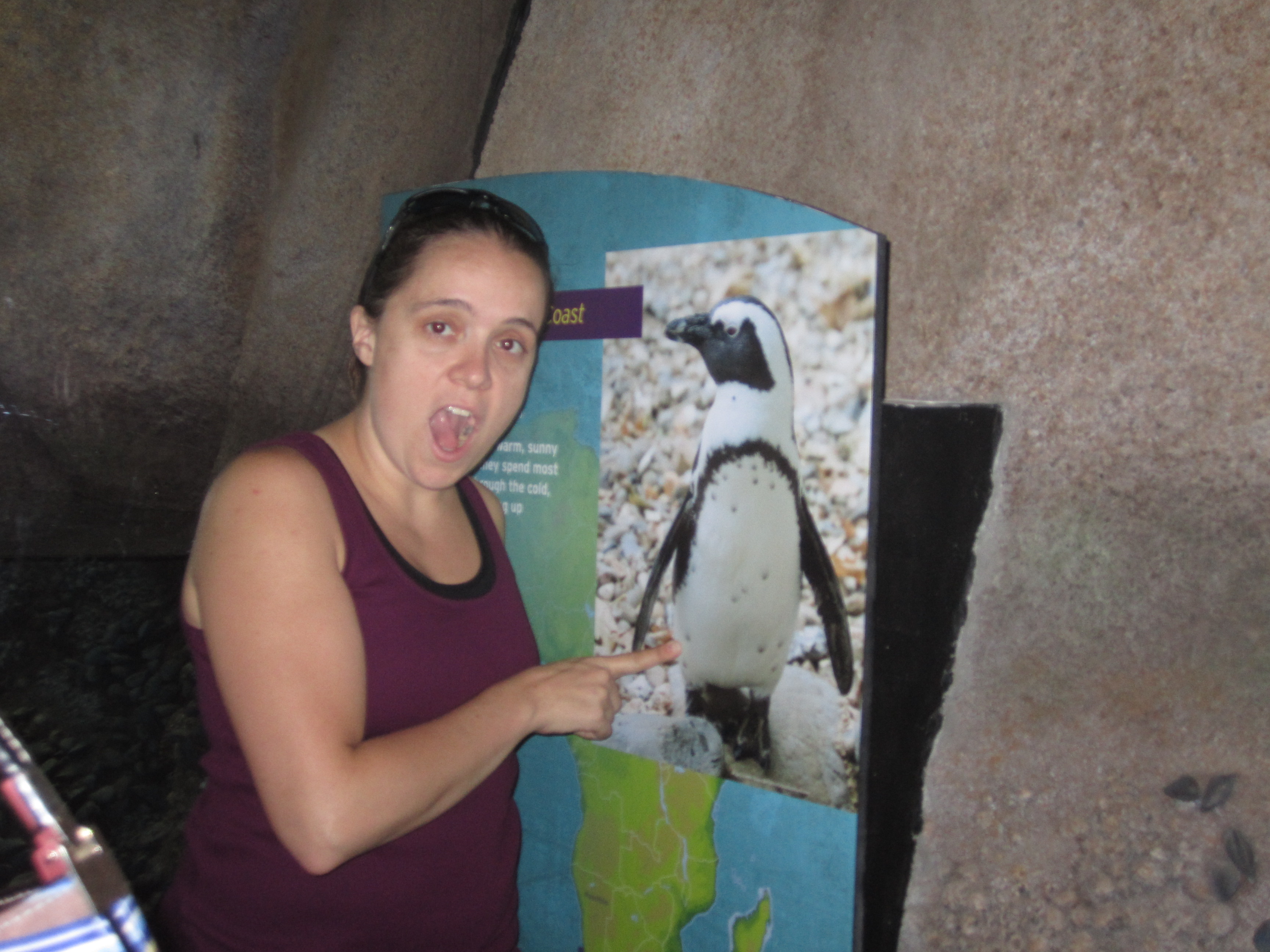 I told Jeanna there were penguins in Africa!!!